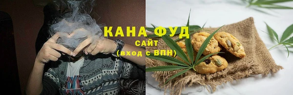 индика Богданович