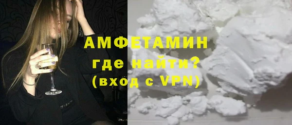 индика Богданович